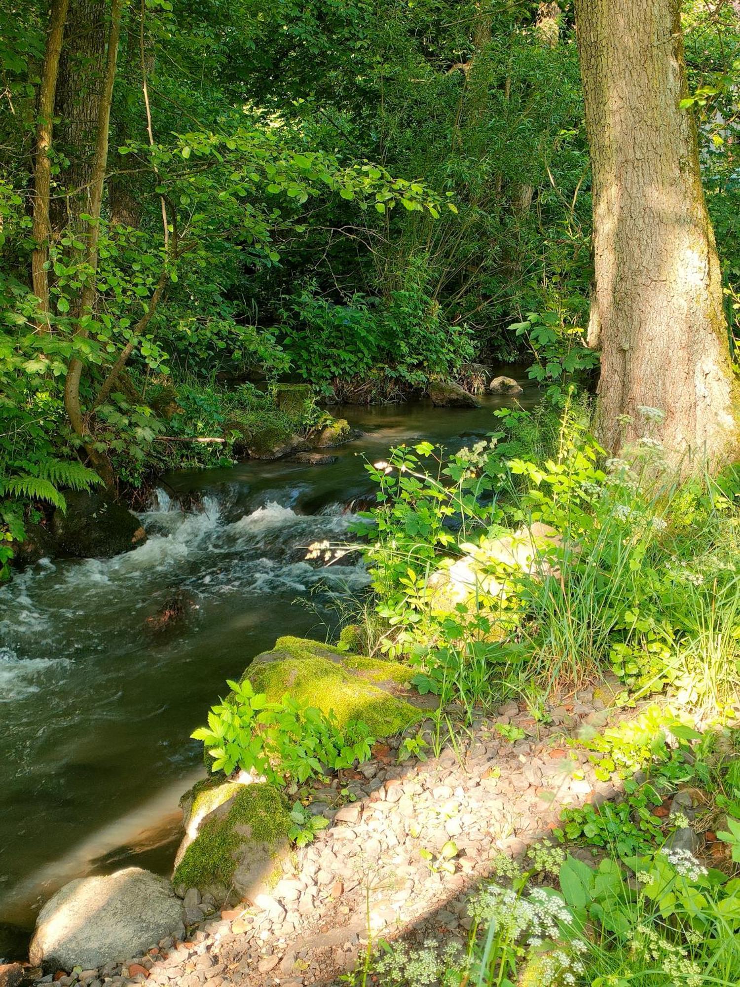 Wind In Den Weiden, Uebernachten Am Bachlauf Birstein Exterior foto